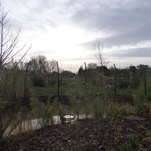 Newly painted mesh fence for Sumatran Tigers