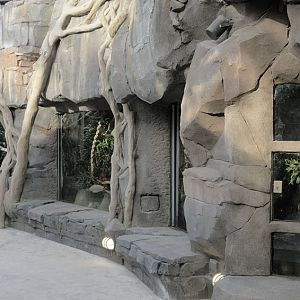 Reptile enclosures in the Monsoon Forest