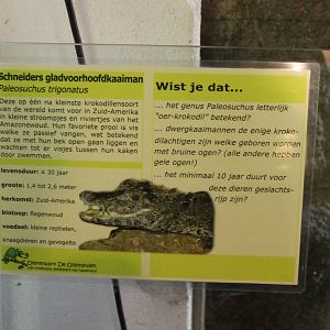 Sign Smooth-fronted caiman