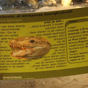 Sign African dwarf crocodile