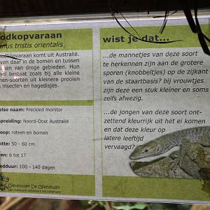 Sign Freckled monitor