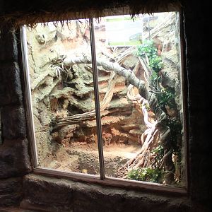 Enclosure Freckled monitor