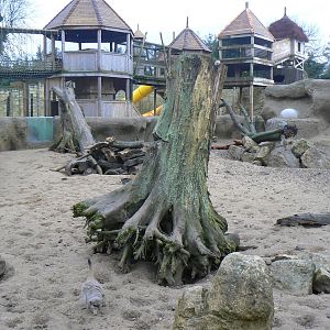 View of Meerkat and Cape Porcupine Enclosure with a bit of one of the Play