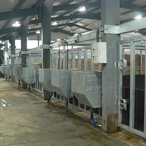 View of part of the Black Rhinoceros House - 24 January 2016