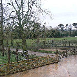 View of Antelope Paddock- 24 January 2016