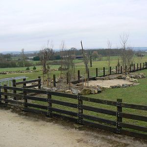 View of part of the Black Rhinoceros Enclosure - 24 January 2016