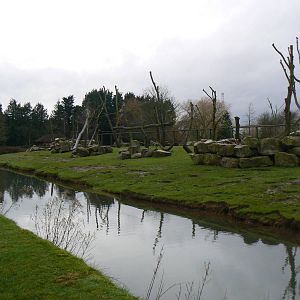 View of Hamadryas Baboon Enclosure - 24 January 2016