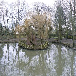 View of White-faced Saki Island - 24 January 2016