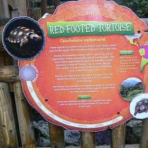 View of Signage - 24 January 2016