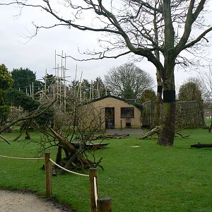 View of Lemur Walkthrough - 24 January 2016