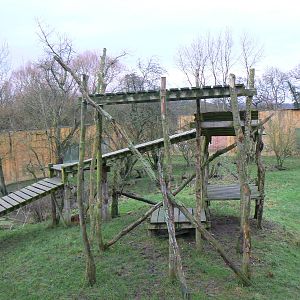View of one of the Sumatran Tiger Enclosures - 24 January 2016