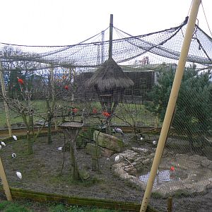 View of the 'Lost Kingdom' Aviary - 24 January 2016
