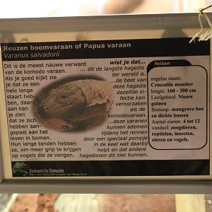 Sign Crocodile monitor