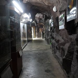 Entrance Cave