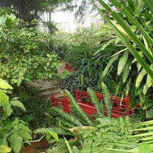 Butterfly Walk-through