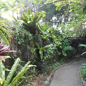 Butterfly Walk-through