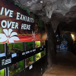 Live Exhibits, Museum Entrance
