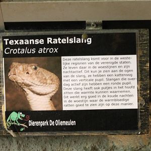 Sign Western diamondback rattlesnake