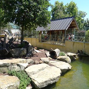the main viewing shelter