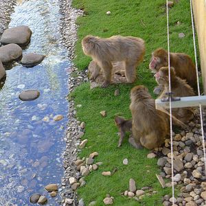 family group in the shade