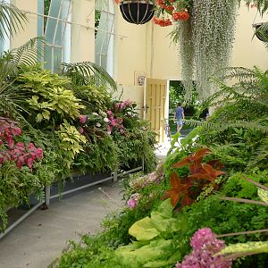 inside the conservatory