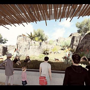 Africa Rocks Gelada Exhibit Concept