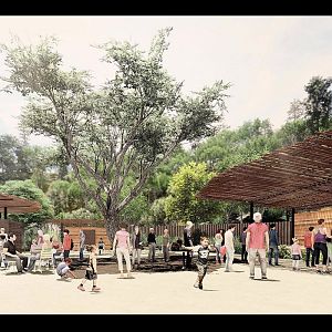 Africa Rocks Plaza Concept