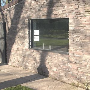 To complement Macaw16, window and door of Black Rhinoceros House, 29th Dece