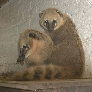 Arrived 23rd January 2016