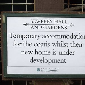 Signage, 23rd January 2016