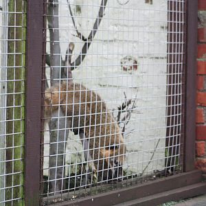 Turning back the clock, 23rd January 2016