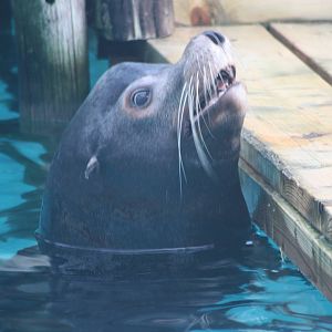 Spot the difference I, 16th January 2016