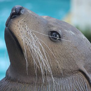 Spot the difference II, 16th January 2016