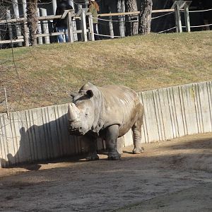 Z*A*M: Christmas 2016