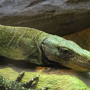 Z*A*M: Christmas 2016