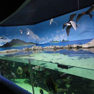 Z*A*M: Christmas 2016