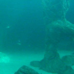 Z*A*M: Christmas 2016