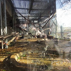 Z*A*M: Christmas 2016