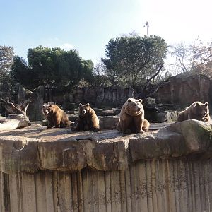 Z*A*M: Christmas 2016: we bare bears with bare feet