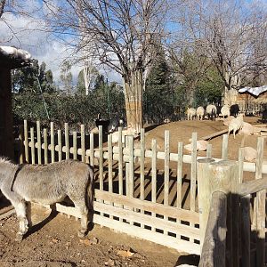 Faunia Christmas 2016