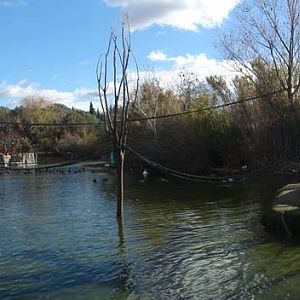 Faunia Christmas 2016: Main lake panoramic