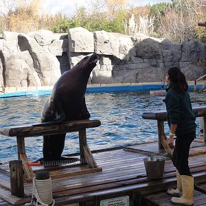 Faunia Christmas 2016