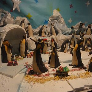 Faunia Christmas 2016: the poles