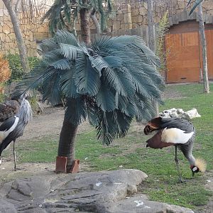 Faunia Christmas 2016