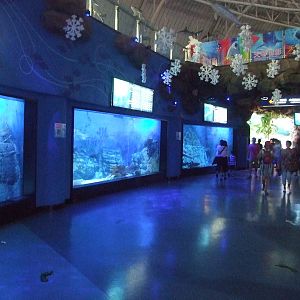 Yantai Haichang Whale Shark Aquarium