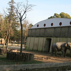 January 2016 New elephant outdoor