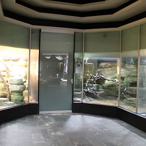 Asia House - Snake & invertebrate exhibits