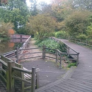 Way in front of Chinese enclosure