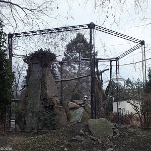 Steller's Sea Eagle Enclosure
