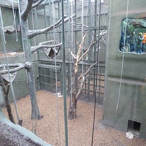 Refurbished ROTRA exhibit